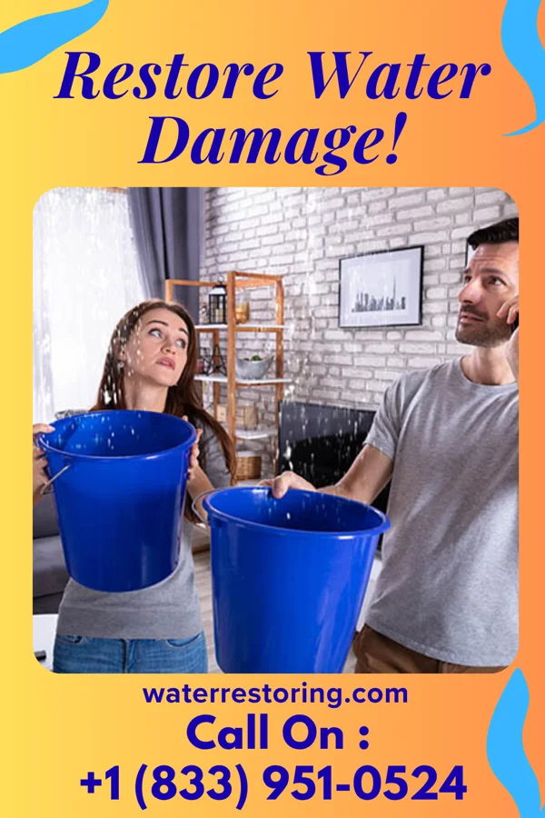 water restoration Vigilant Disaster Recovery Inc Westmont