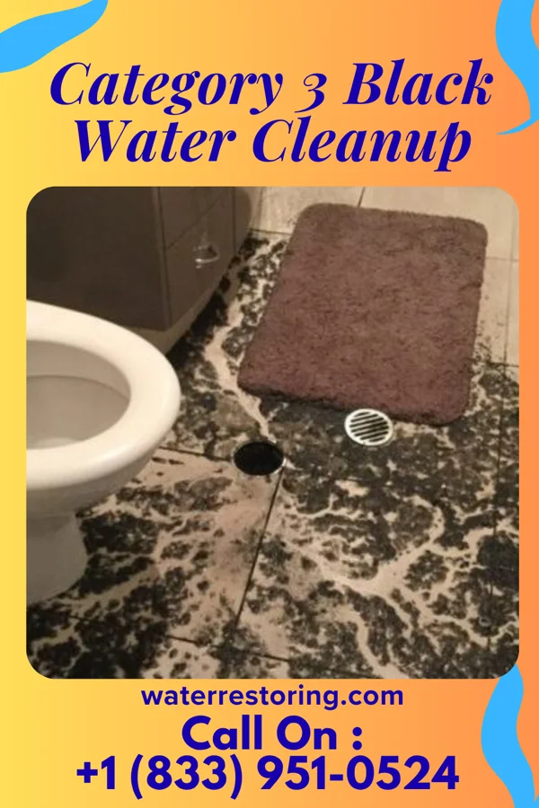Category 3 Black Water Cleanup in Westmont, NJ
