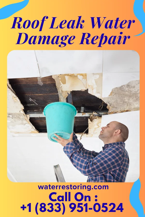 Roof Leak Water Damage Repair in Westmont, NJ